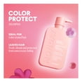 thumbnail image 3 of MONDAY Haircare Shampooing Protection de la Couleur avec Acides Aminés, Huile de Jojoba & Vitamine E pour Cheveux Colorés, 3 of 5