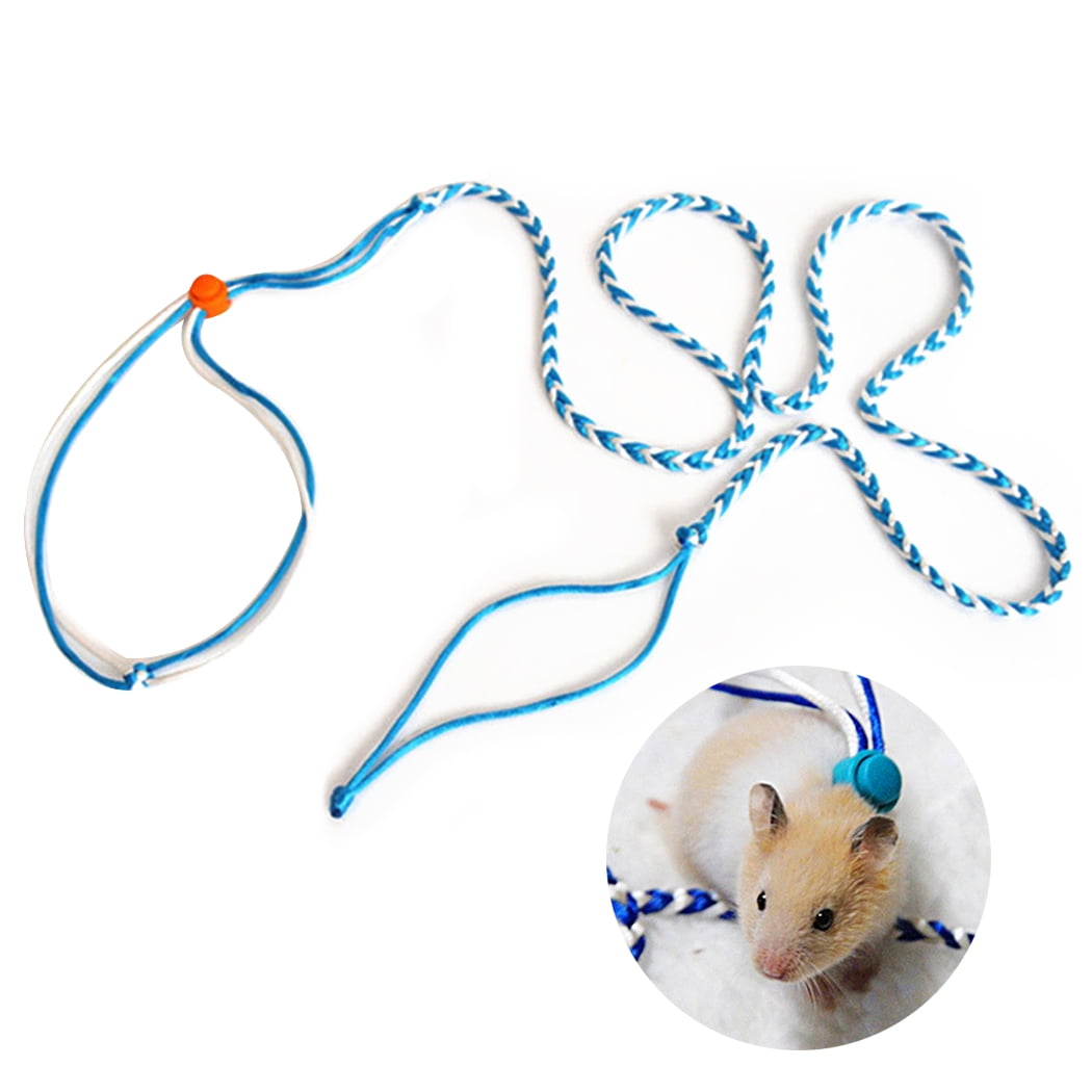 Hamster Leash Multipurpose Small Animal Leash for Ferret Squirrel