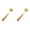 Khaki*2, variant on Kitchen Dish Brush with Bamboo Handle, Dish Scrubber Built-in Scraper, Scrub Brush for Pans, Pots, Kitchen Sink Cleaning, Dishwashing and Cleaning Brushes are Perfect Cleaning Tools, 2 Pack, 7.87"
