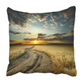 thumbnail image 1 of BSDHOME Sunset Road in Field with Ripe Yellow Wheat Landscape Dirt Perspective Weather Pillowcase Cushion Cover 18x18 inch, 1 of 1
