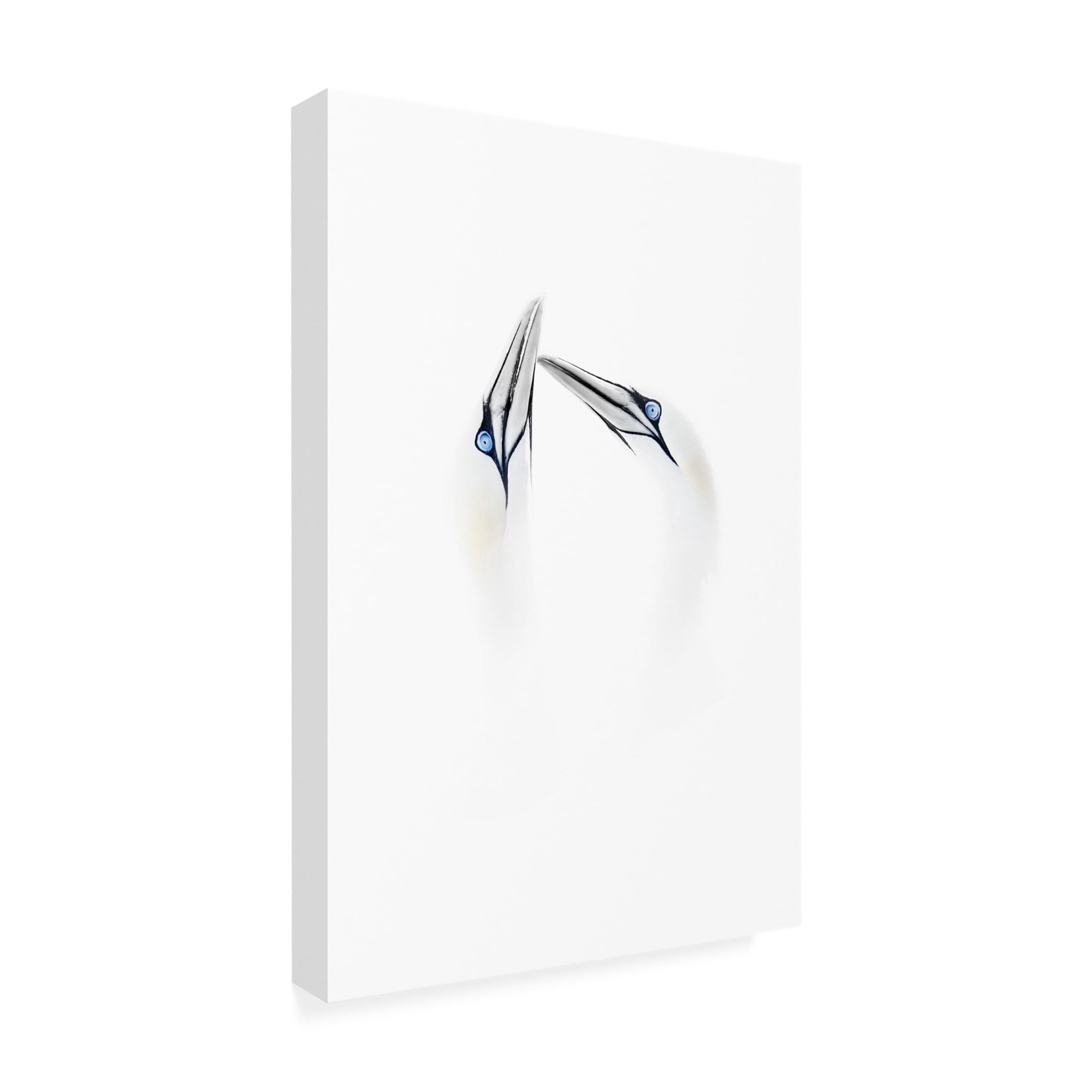 Trademark Fine Art Chris Latham Tenderness Canvas Wall Art