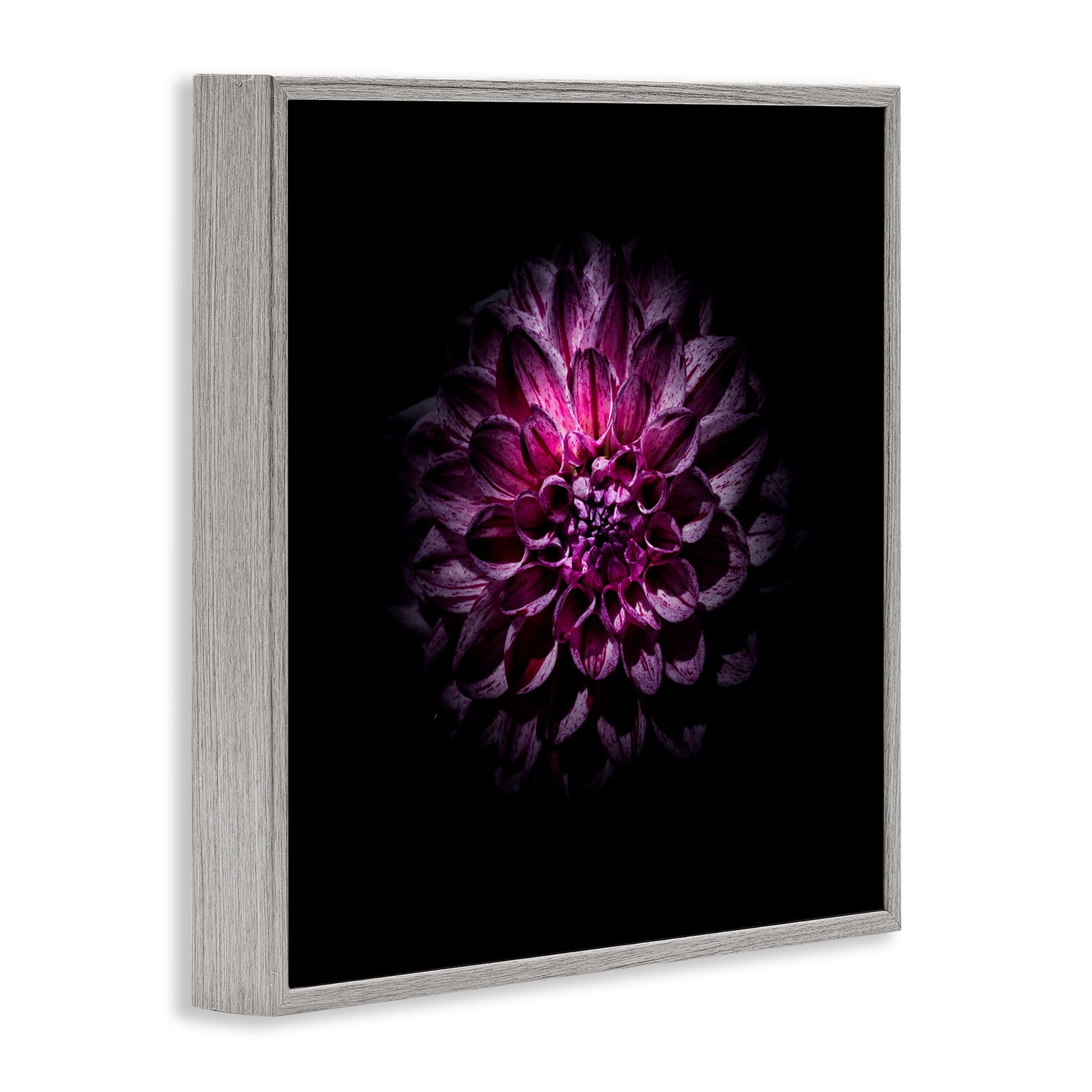 Purple Dahlia Dark Contemporary Gray Framed Giclee Art, design by Brian Carson Photography