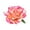 d-1097Orange2671, variant on ANINEO Bohemian Flower Hair Clips Girls Rose Hairpins Barrettes With Rhinestones Beach Wedding Hair Accessories Kids Teen Holiday Teenager Wear