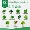 thumbnail image 3 of Organo Republic - 22 Lettuce & Salad Greens Seeds Varieties - 24,700+ Non GMO Heirloom Garden Seeds, 3 of 7