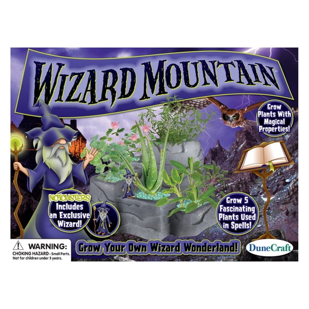 DuneCraft Wizard Mountain
