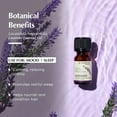 thumbnail image 2 of AROMAFUME Lavender Essential Oil - 100% Natural, 2 of 8