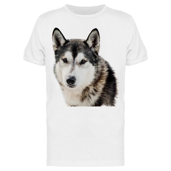 Serious Siberian Husky Tee Men's -Image by Shutterstock Men's T-shirt