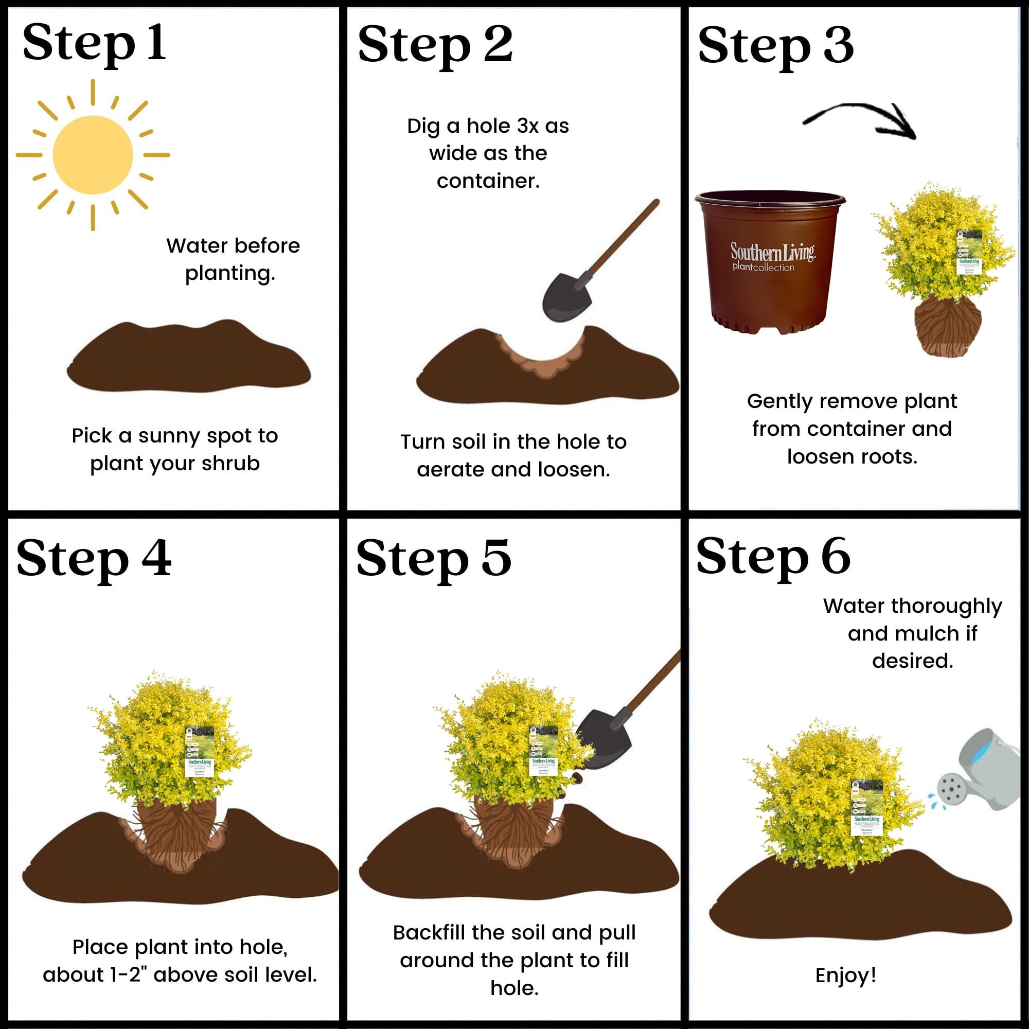 Southern Living Ligustrum Sunshine Live Shrub in 5-Gallon Grower Pot