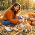 thumbnail image 2 of AuroraX Halloween Dog Bandana Scarf Halloween Cat Dog Kerchief Soft Adjustable Triangular Lightweight Pet Costume Accessories Yellow National Dog Day International Cat Day, 2 of 6