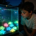 thumbnail image 5 of 12PCS Outdoor Luminous Decorative Stones Glow in The Dark Garden Pebbles for Walkways Stepping Paths Turtle Design Natural Rock, 5 of 8