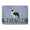 Black, variant on Red Border Collie Welcome Machine Washable Memory Foam Mat