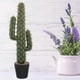 thumbnail image 2 of 2026 Artificial Saguaro Cactus Faux Plants Simulation Cactus in Pot Fake Plant Bonsai, 2 of 4
