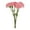 B, variant on Day Carnation Bouquet for Home Decoration and Vase Floral Arrangement