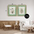 thumbnail image 3 of Stupell Industries Shabby Chic Green Tone Herbal Blooms Gold 2pc Floating Frame Art Set, 25 x 31 each, by Carol Robinson, 3 of 7
