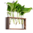 thumbnail image 3 of simhoa Hanging Planter Box Decoration Hydroponic Tabletop Test Glass Test Tube for Home Big, 3 of 7