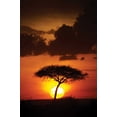 thumbnail image 2 of Parker, Susann 23x32 Gold Ornate Wood Framed with Double Matting Museum Art Print Titled - Kenya Sunrise, 2 of 4
