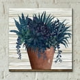 thumbnail image 6 of Epic Art 'Remarkable Succulents II' by Cindy Jacobs, Acrylic Glass Wall Art, 12"x12", 6 of 8
