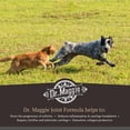 thumbnail image 3 of Dr. Maggie Joint Formula Liquid Supplement for Dogs & Cats, 240-mL bottle, 3 of 5