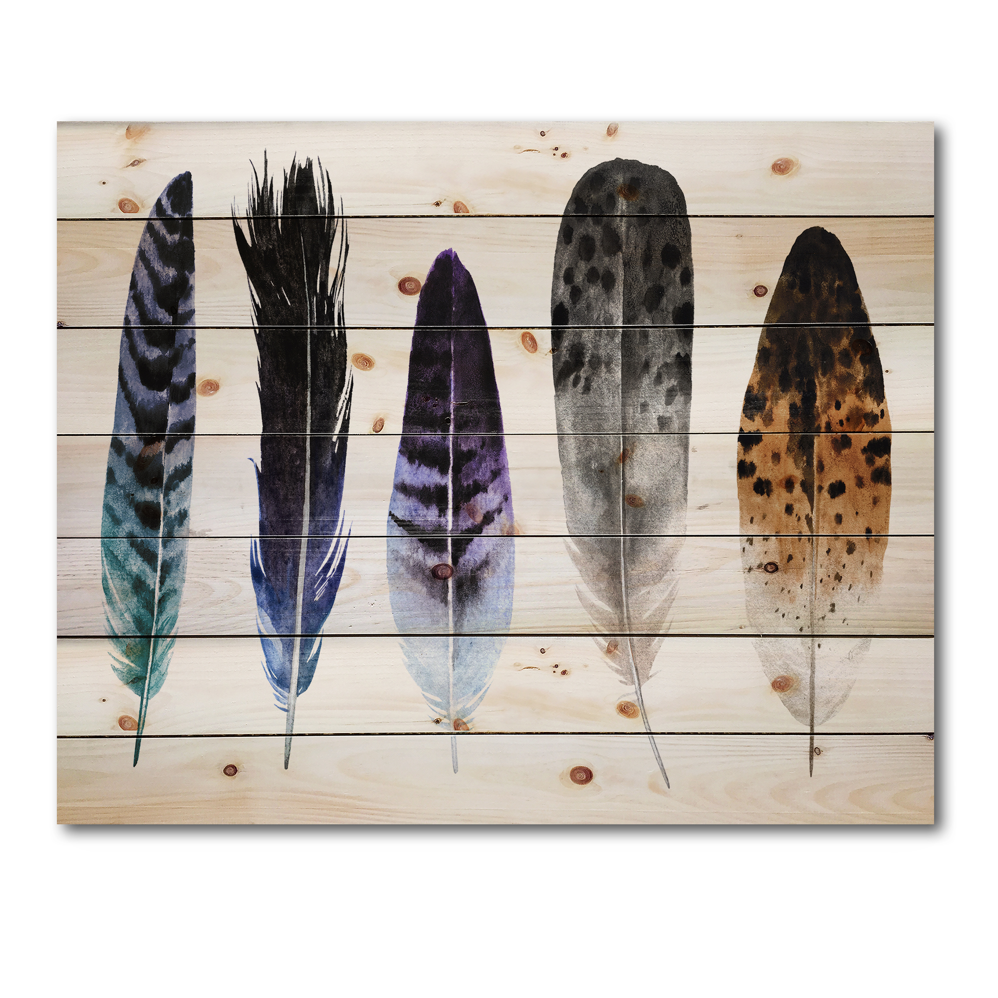 Designart 'Colourful Boho Art Feathers II' Bohemian & Eclectic Print on Natural Pine Wood