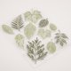 thumbnail image 5 of unbranded Sello Transparente De Tpr Verde Para Álbumes De Fotos Y Tarjetas En Scrapbooking DIY, 5 of 7