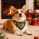 thumbnail image 5 of Pisexur Suministros para mascotas Navidad mascota bufanda Collar lindo gatos y perros accesorios de Navidad perros, gatos y animales.perros, gatos y animales, 5 of 6