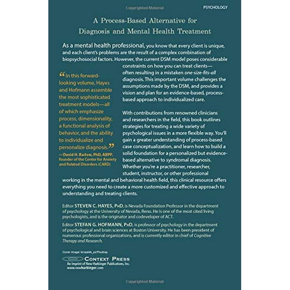 Pre-Owned Beyond the DSM : Toward a Process-Based Alternative for Diagnosis and Mental Health Treatment (Paperback)