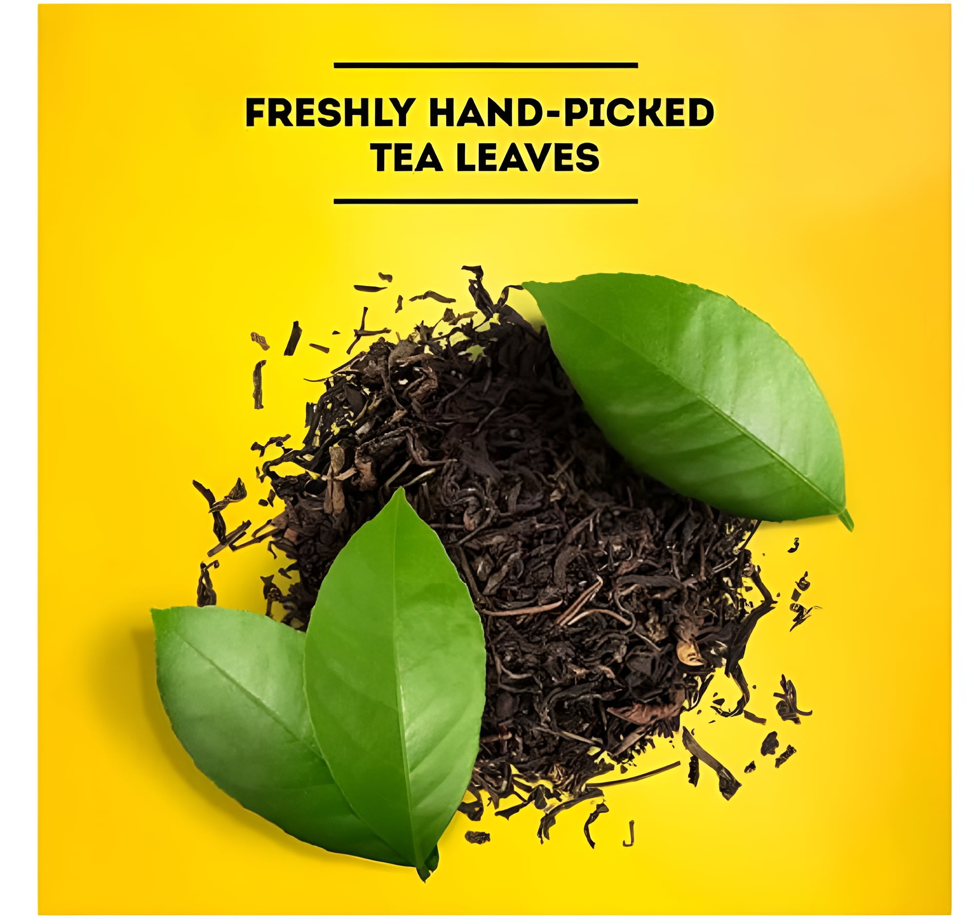 Lipton Iced Tea, Gallon Size Tea Bags (48 ct.)