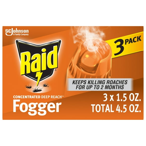 Raid Bug Spray