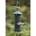 thumbnail image 2 of Audubon/Woodlink Mini Magnum Feeder, 2 of 3