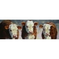 thumbnail image 3 of Hawley, Carolyne 18x9 Black Modern Framed Museum Art Print Titled - Custom Winter Calves (ASH), 3 of 5