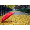thumbnail image 2 of ABPHOTO 7x5ft Photography Backdrop Yellow Fallen Leaf Red Umbrella Artistic Natural Scenery Backdrops, 2 of 4