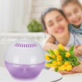 thumbnail image 4 of Liquid Air Fresheners Bedroom Freshen Electric Air Humidifier EU PLUG, 4 of 5