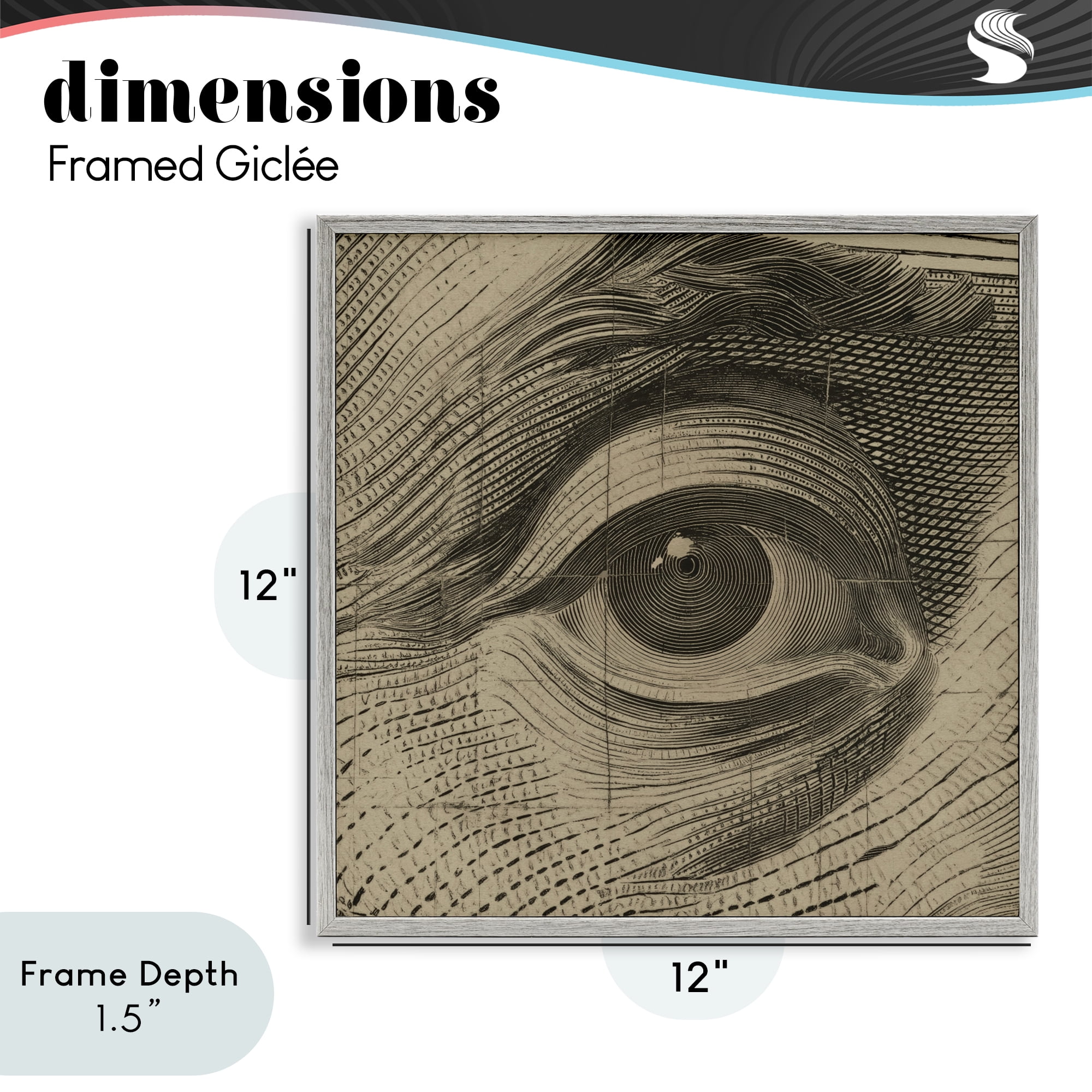Stupell Industries Franklin's Gaze Eye Gray Framed Giclee Art, design by Svetlana Aleynikova
