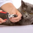 thumbnail image 3 of Corta Uñas Para Perro O Gatos Acero Inoxidable Kit + Lima, 3 of 5