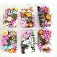 thumbnail image 3 of Farfi Dried Flowers Home Photography Props DIY Ornament Craft Specimen Accessories (Random Color&Pattern), 3 of 13