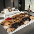 Area Rug Rectangle Carpet For Living Room, Animal Print Love
