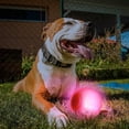 thumbnail image 4 of LaRoo LED Dog Balls Rechargeable,Light up Dog Ball Glow in The Dark,Teeth-Cleaning Natural Rubber,Interactive Dog Toys for Small & Medium Dogs,2.5 inches(Purple), 4 of 5
