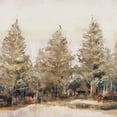 thumbnail image 3 of Ian C 12x12 Black Modern Framed Museum Art Print Titled - Gold Forest I, 3 of 5