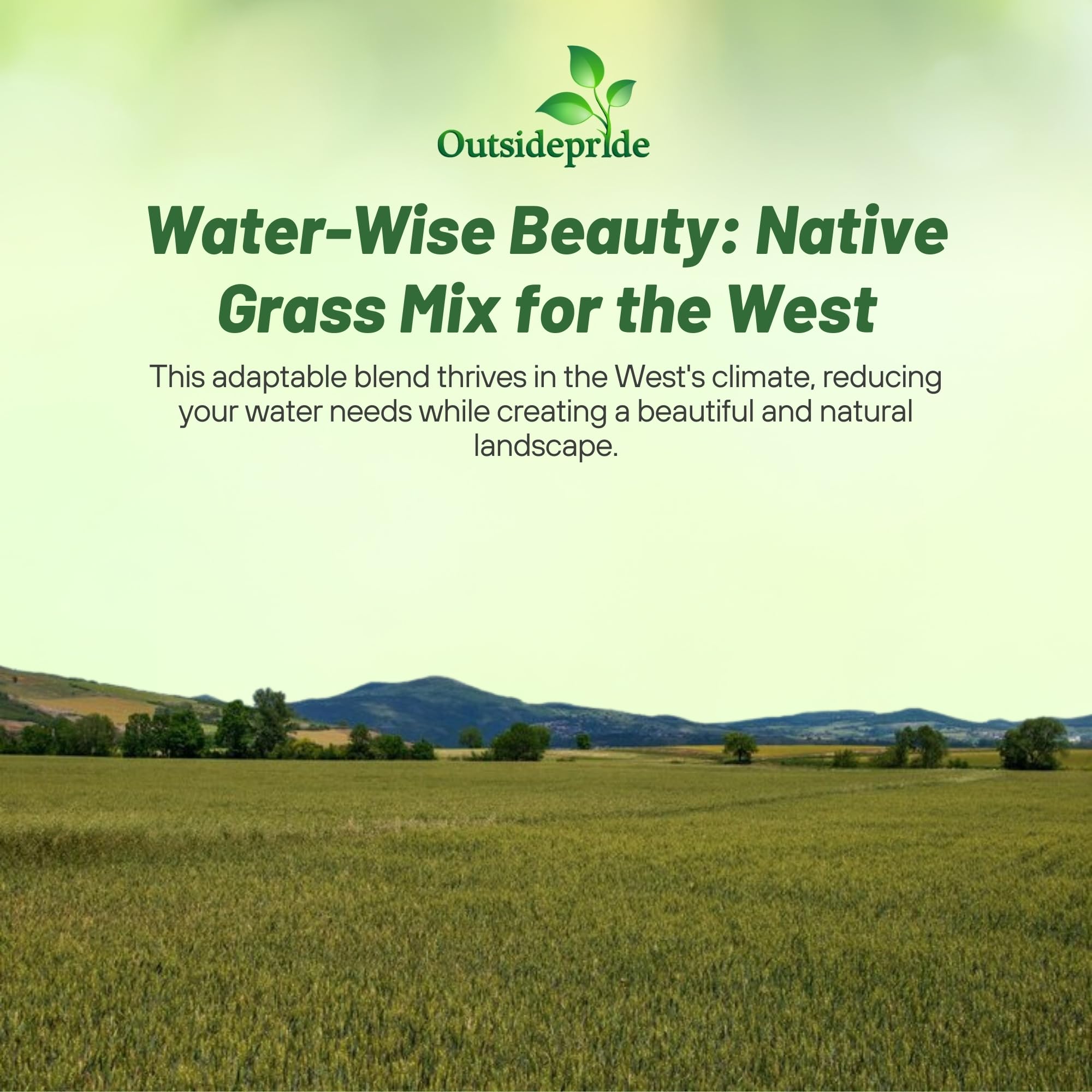 Outsidepride 1 lb. Perennial Western Native Grass Seed Mix of Warm & Cool Season Grasses