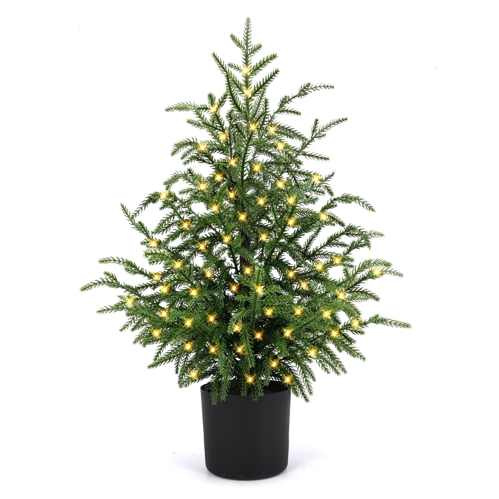 ENVEN 2ft Pre-Lit Norfolk Pine Artificial Tree photo 1