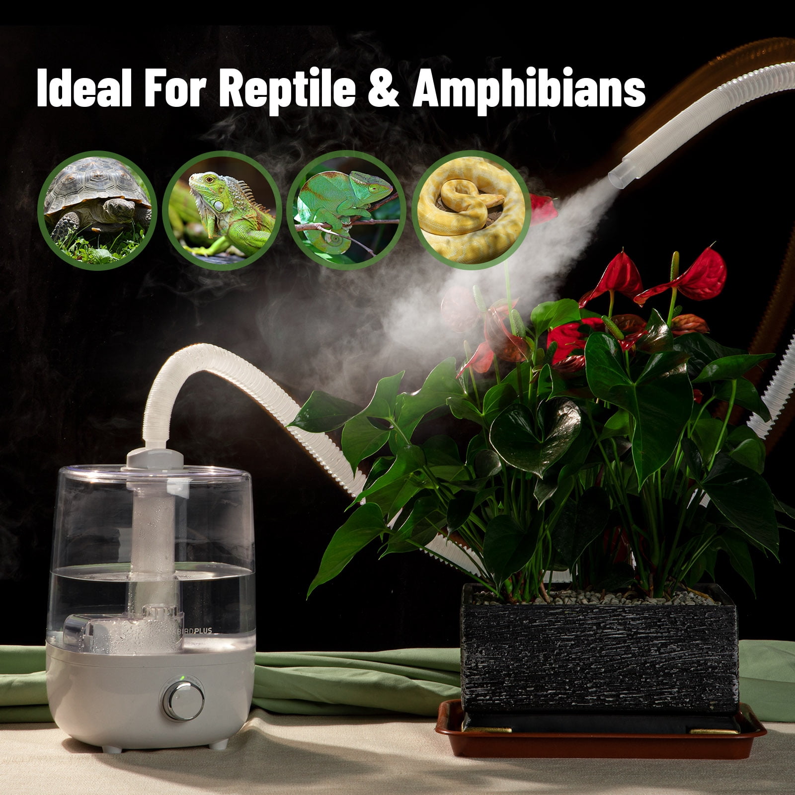 INKBIRDPLUS Reptile Humidifier, Terrarium Fogger With 4L Large Tank, Extendable Tube, Ultra Quiet Mister With Dry-Run Protection, Ideal For Reptiles, Amphibians, Wet Plants