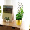 thumbnail image 1 of Soporte de hierro para plantas trepadoras, resistente a la corrosión, pequeño, ideal para macetas de interior., 1 of 7