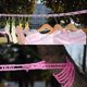 thumbnail image 2 of Tendedero BRI retráctil de nailon resistente al viento rosa 5m, 2 of 4