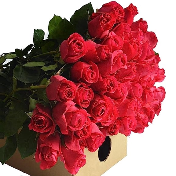 KaBloom :50 Red Roses, Next-Day Delivery, Gift for Every Occasion.