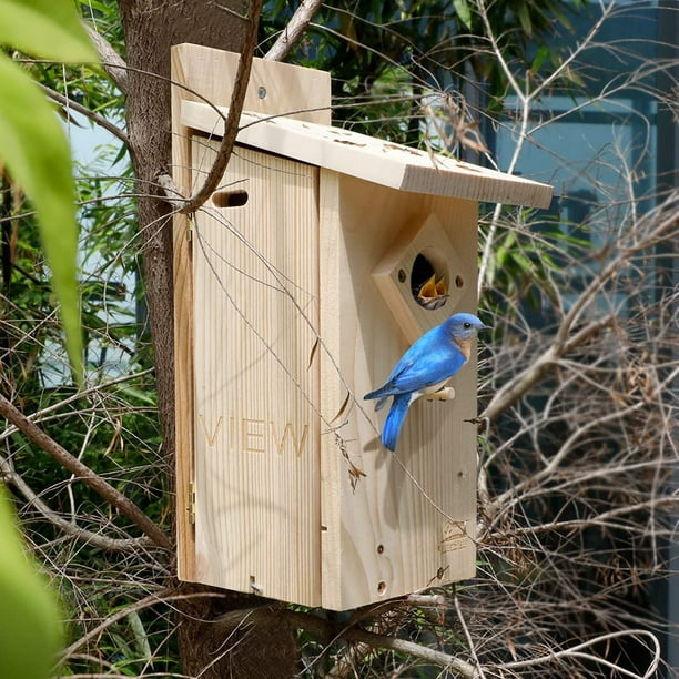 Mangeoire à oiseaux en métal pour jardin extérieur, prédateur
