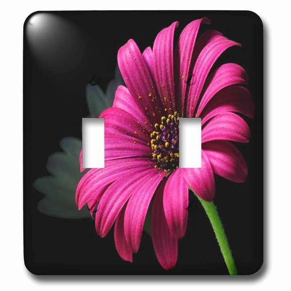 3dRose, Hot Pink Daisy On Black, double toggle switch