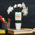 thumbnail image 3 of 3" Petite White Orchid in Evi White Planter – Best Teacher Ever, 3 of 5
