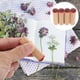thumbnail image 3 of 4Pcs Vintage DIY Scrapbook Delicate Stamps Seals for Diary Planner Decoration, 3 of 4