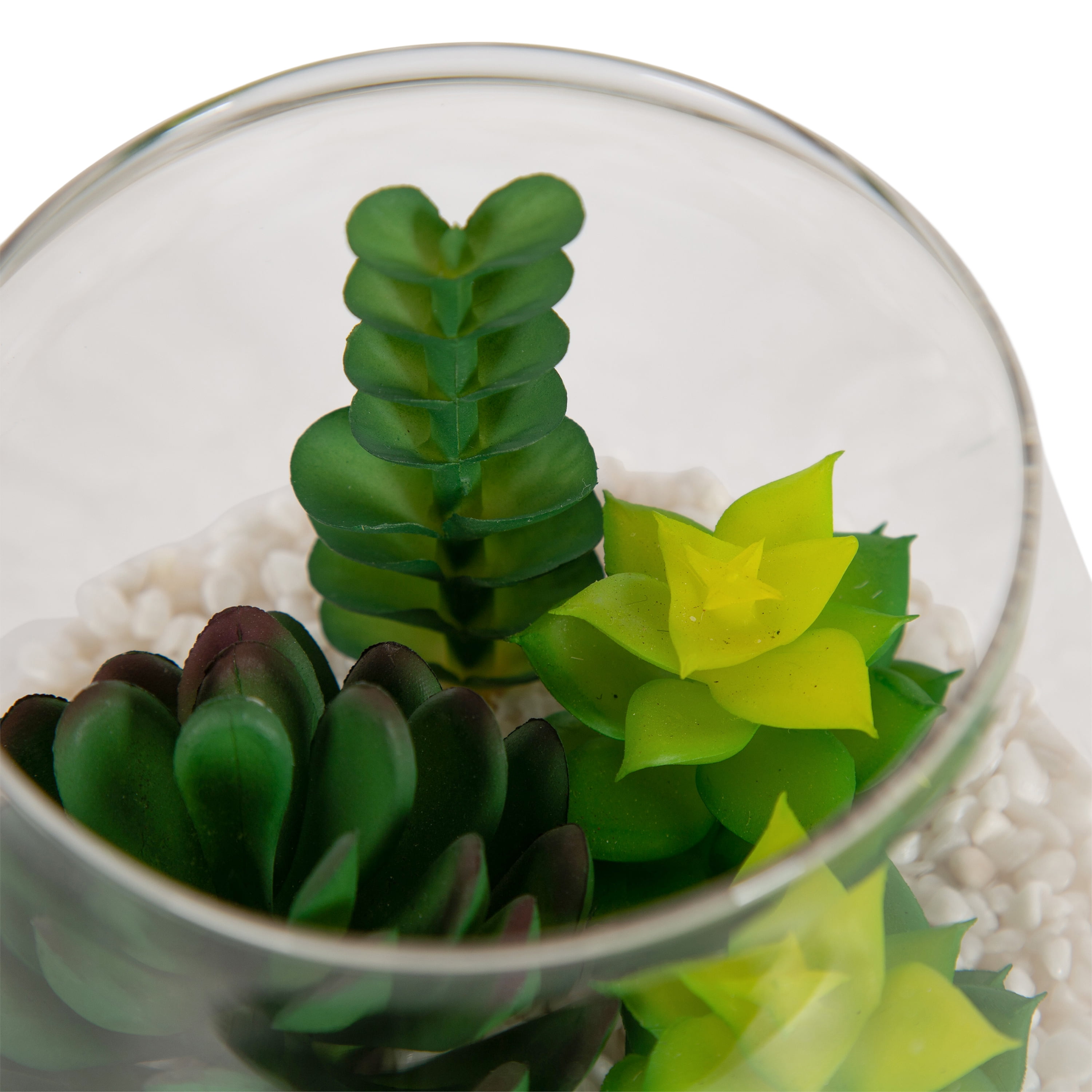 Mainstays 5" Tabletop Faux Succulent Glass Terrarium on Circle Wood Base