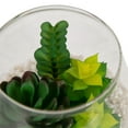 thumbnail image 3 of DesignOvation 5"H Tabletop Artificial Succulent Glass Terrarium on Wood Base, 3 of 10